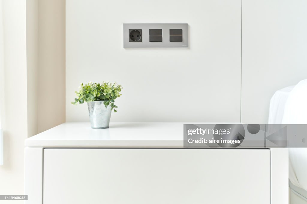 Small plant in metal pot on bedside table in master bedroom of modern apartment, minimalist decor.