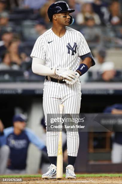 Miguel Andujar of the New York Yankees at bat during the fourth inning against the Tampa Bay Rays at Yankee Stadium on August 15, 2022 in the Bronx...