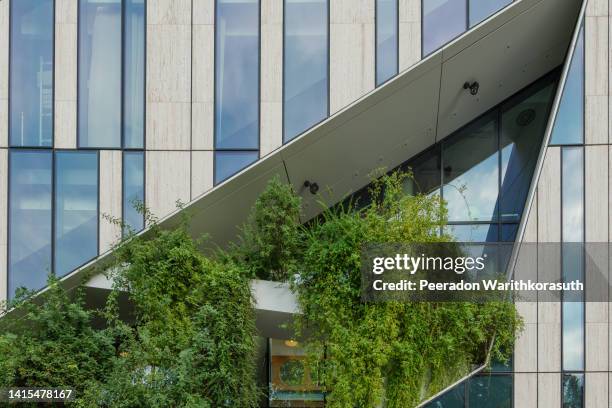 detail of modern green building's facade. - cladding stock pictures, royalty-free photos & images