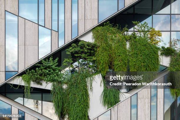 detail of modern green building's facade. - wall building feature stock pictures, royalty-free photos & images