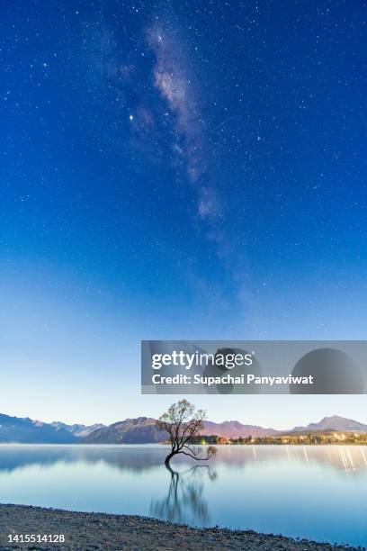 wanaka tree in the night with milky way, famous destination for traveler in wanaka, long exposure shot, new zealand - lake wanaka stock pictures, royalty-free photos & images