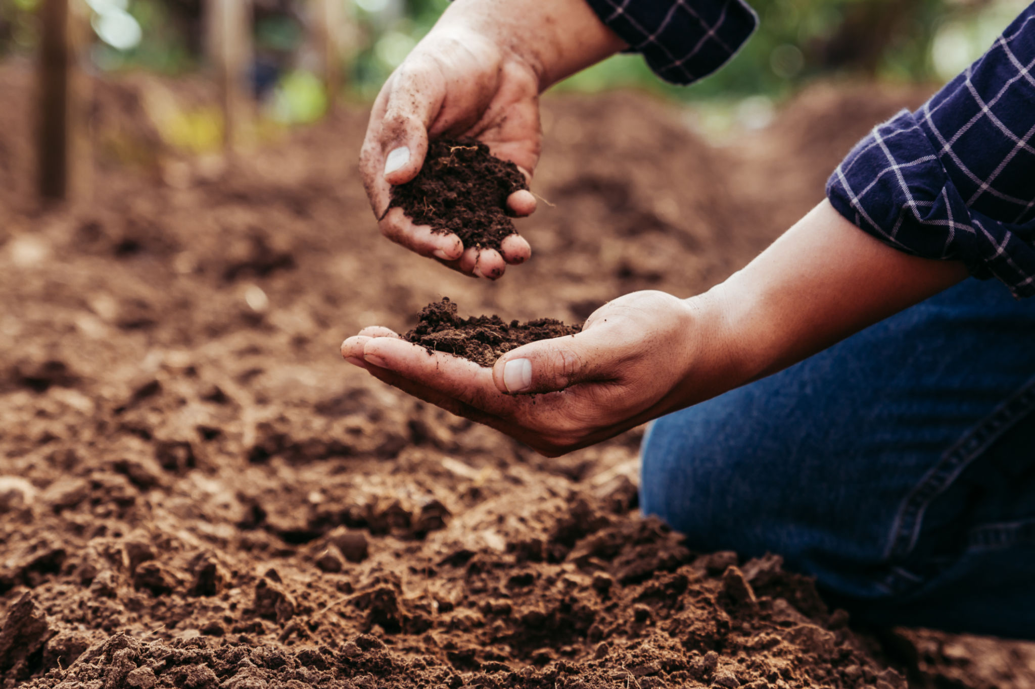 soil improvement