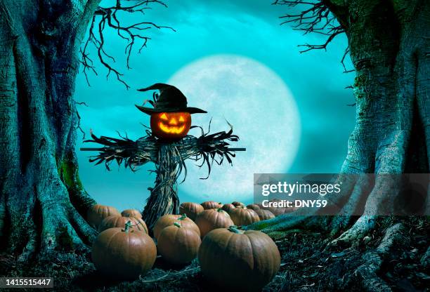 scarecrow topped with jack o'lantern stands in a pumpkin patch framed by spooky trees - food photography dark background blue stock pictures, royalty-free photos & images