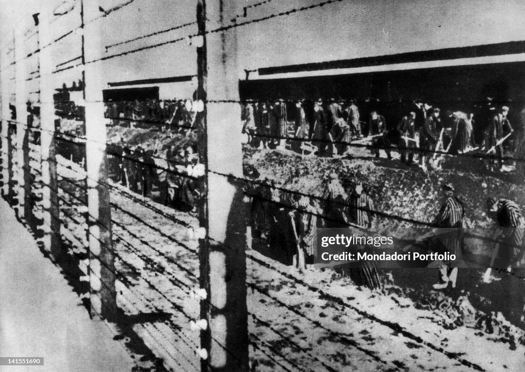 Auschwitz Concentration Camp