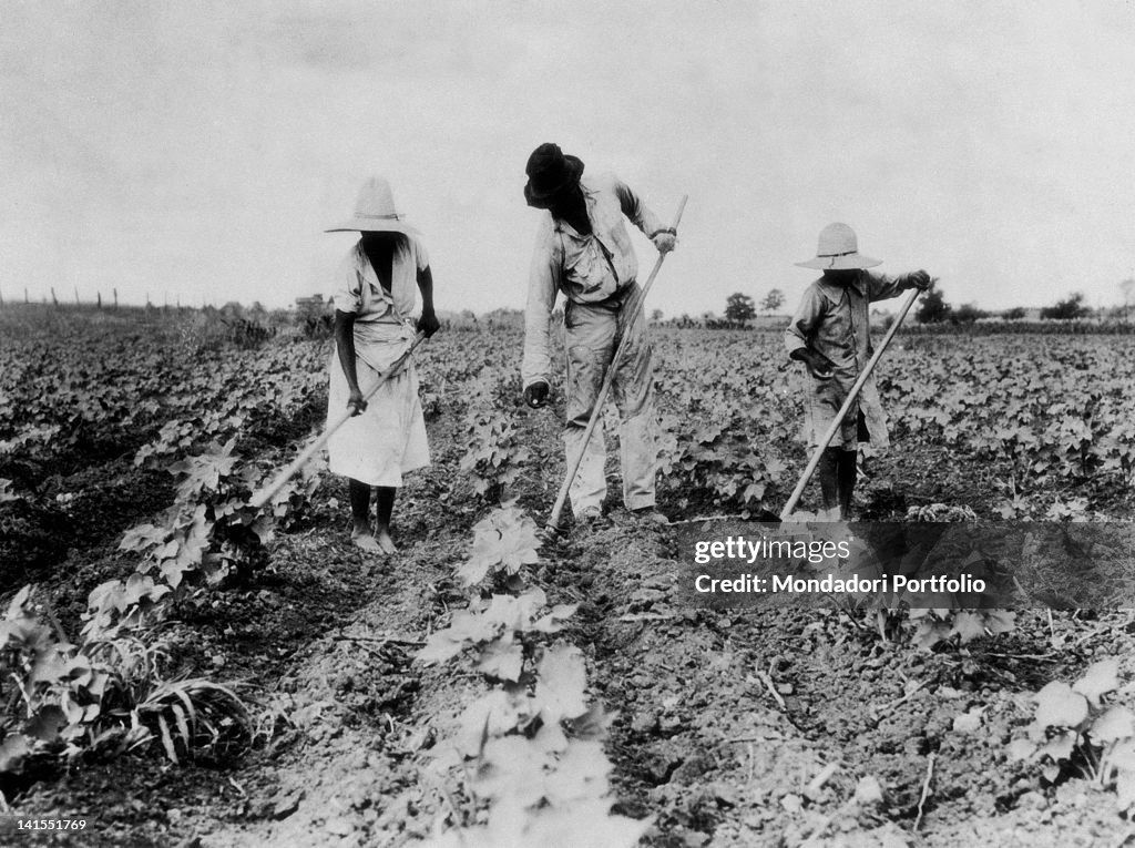 Alabama Farming Family