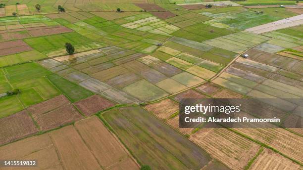 Planting Tilling Rice 62 Tilling Floor Stock Photos, High-Res Pictures, and Images - Getty Images