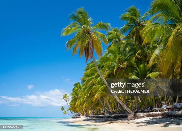 repubblica dominicana - isola di saona - punta cana foto e immagini stock