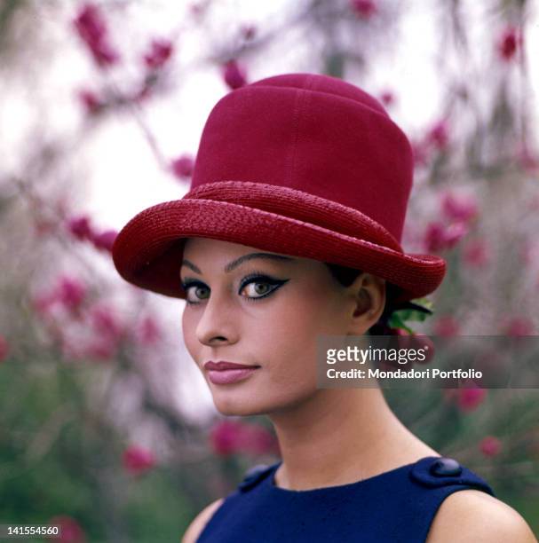 Portrait of Italian actress Sophia Loren. 1964