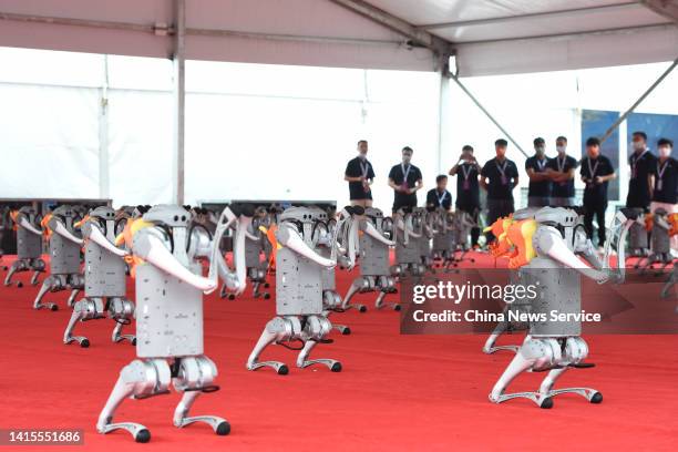 Robotic dogs dance during 2022 World Robot Conference at Beijing Etrong International Exhibition & Convention Center on August 18, 2022 in Beijing,...