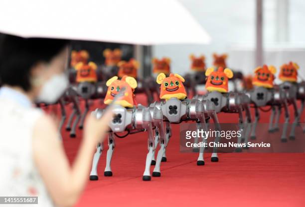 Robotic dogs dance during 2022 World Robot Conference at Beijing Etrong International Exhibition & Convention Center on August 18, 2022 in Beijing,...