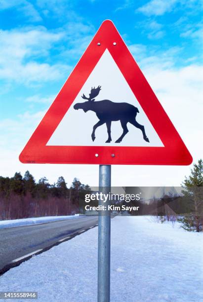 moose sign, norway, 1998 - 1998 stock-fotos und bilder