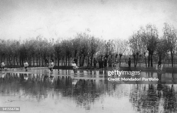 Italian Rice Workers 3,468 Italian Peasant Stock Photos, High-Res Pictures, and Images ...