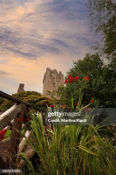 glimpse of blarney castle, county cork, ireland - blarney castle stock pictures, royalty-free photos & images