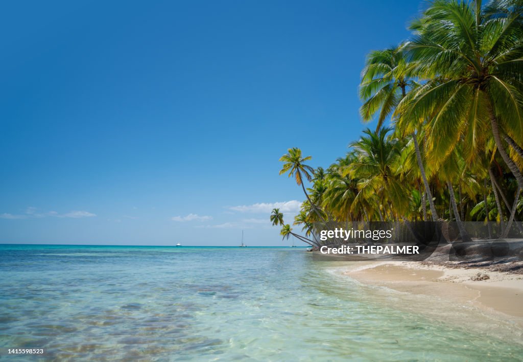 Isla Rd República Dominicana Hermosa Isla Foto de stock - Getty Images