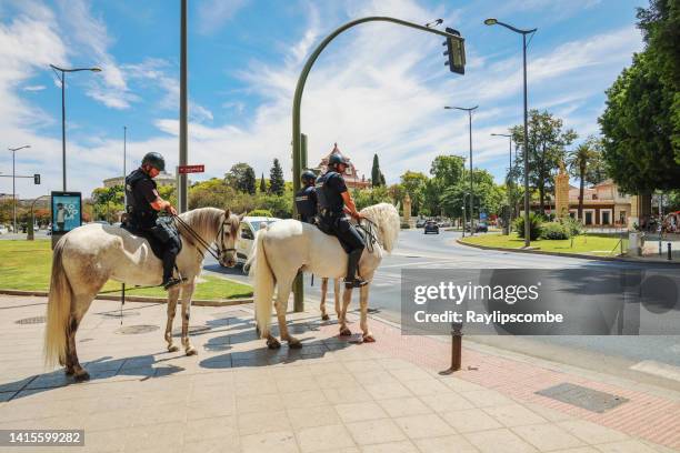 three mounted police officers patrol the streets of seville, andalusia, spain on a hot sunny june dayecture - bereden politie stockfoto's en -beelden