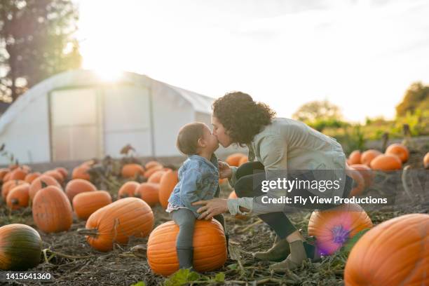 gorgeous 18 month old child giving her ethnic mom a kiss at a pumpkin patch - asian mother and daughter pumpkin stockfoto's en -beelden