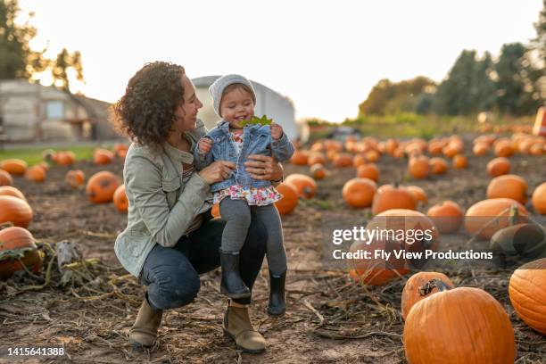 ethnic thirty something mom lifting her toddler into the air at a pumpkin patch - asian mother and daughter pumpkin stockfoto's en -beelden