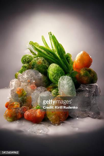 frozen vegetables - frost stock photos et images de collection