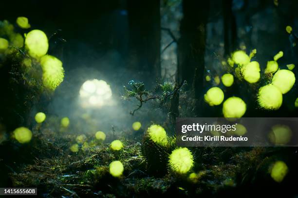 a digitally rendered image of virus cells flying in the forest at night - arenavirus stock pictures, royalty-free photos & images