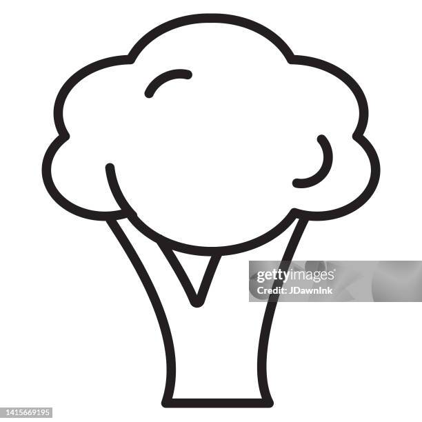 whole and sliced fresh broccoli vegetable thin line icon - editable stroke - broccoli on white stock illustrations