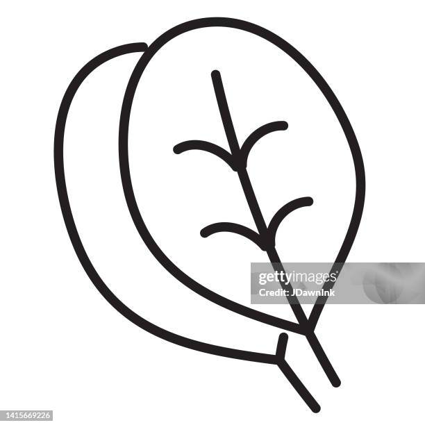 ganze und in scheiben geschnittene frische babyspinat-gemüse-dünnlinie icon - bearbeitbarer strich - fresh baby spinach stock-grafiken, -clipart, -cartoons und -symbole