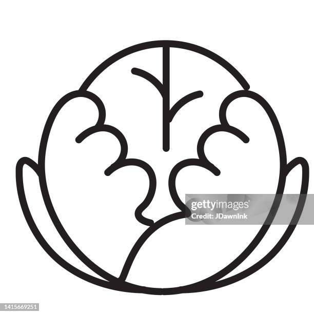 25点のアイスバーグレタスイラスト素材 Getty Images 25点のアイスバーグレタスイラスト素材 Getty Images