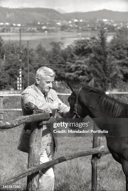 The American writer William Faulkner caressing a horse. 1950s