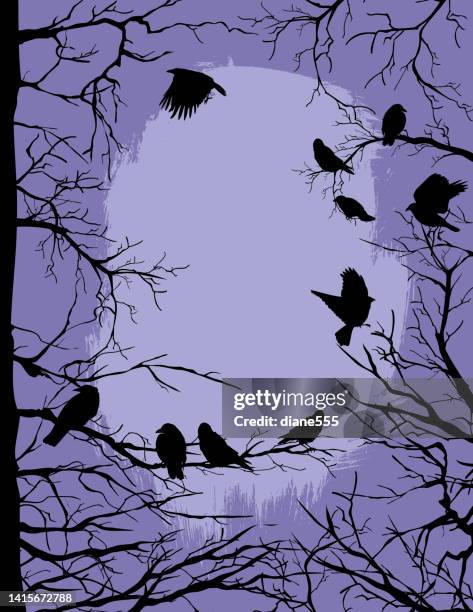 creepy crows watching from the trees - perching stock illustrations