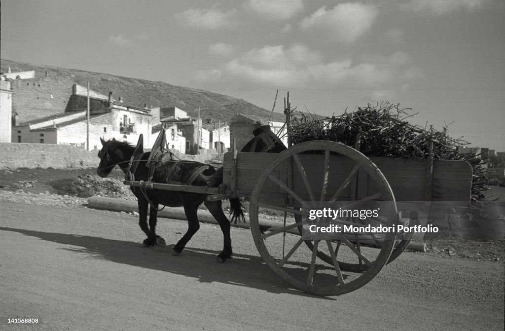 Man With A Cart