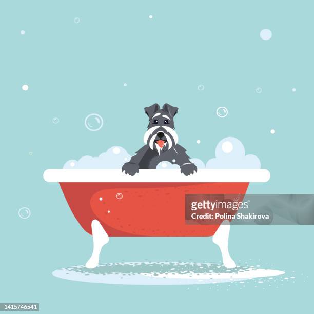 cartoon dog taking a bath with soap foam. - washtub stock illustrations