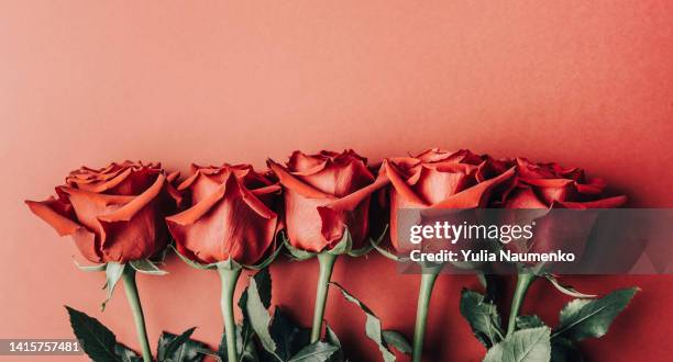 red rose flowers bouquet. valentine's day greeting card. - wedding card stock-fotos und bilder