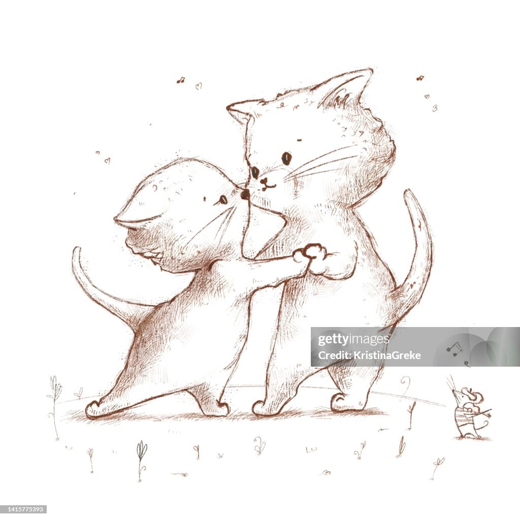 Cute cats dancing tango