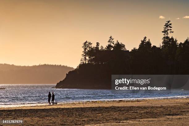 silhouetted landscape of two people at the beach in tofino at sunset - tofino foto e immagini stock