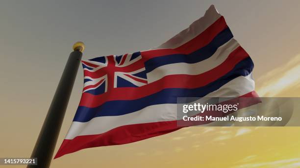 flag of the us state of hawaii - hawaii flag 個照片及圖片檔