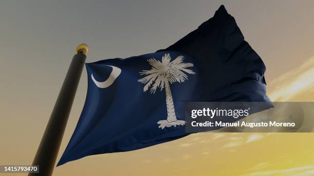 flag of the us state of south carolina - south carolina state flag stock pictures, royalty-free photos & images
