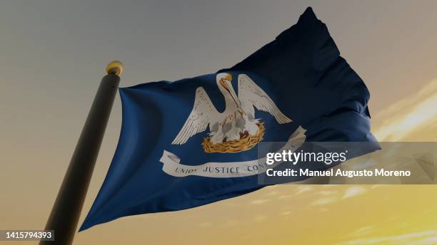 flag of the us state of louisiana - louisiana flag fotografías e imágenes de stock