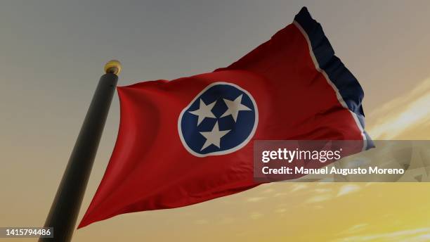 flag of the us state of tennessee - tennessee fotografías e imágenes de stock