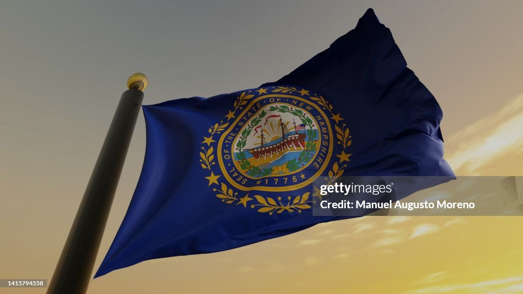 Flag of the US State of New Hampshire