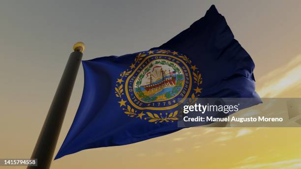 flag of the us state of new hampshire - new hampshire stock pictures, royalty-free photos & images