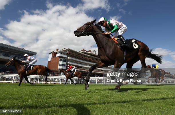 Day ridden by Jason Watson crosses the line in the Play Pick 6 At BetVictor Handicap during the at Newbury Racecourse on August 19, 2022 in Newbury,...