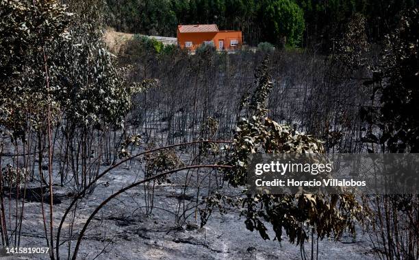 House is seen in the distance behind scorched earth and burnt trees at the site of a fire that broke out on August 17 in Caldas da Rainha, consuming...