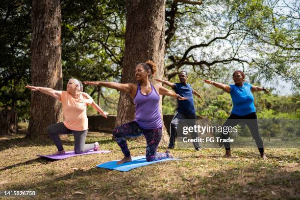 ältere freunde beim yoga in einem park - senior yoga stock-fotos und bilder