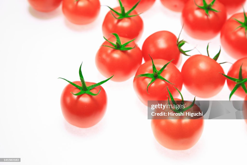 Tomatoes on white background