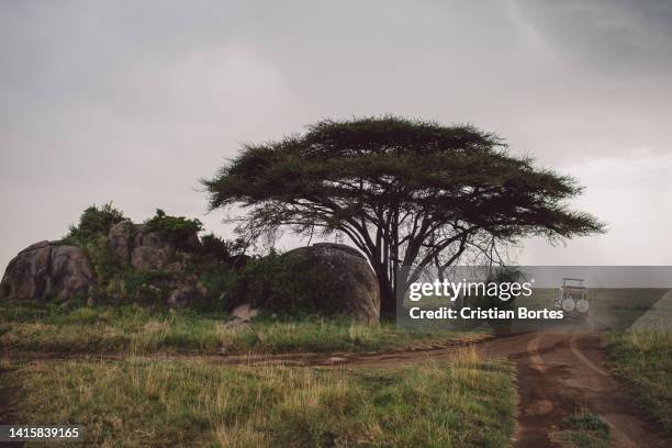 Simiyu 390 Simiyu Region Stock Photos, High-Res Pictures, and Images - Getty ...