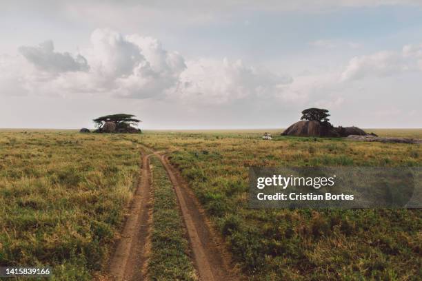 Simiyu 390 Simiyu Region Stock Photos, High-Res Pictures, and Images - Getty ...