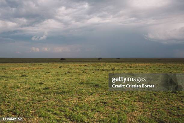 Simiyu 388 Simiyu Region Stock Photos, High-Res Pictures, and Images - Getty ...