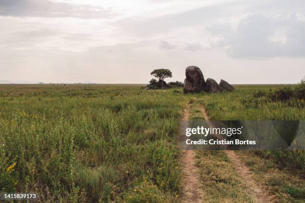 Simiyu Simiyu Region Photos and Premium High Res Pictures - Getty Images