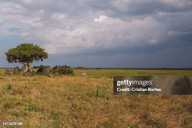 Simiyu 388 Simiyu Region Stock Photos, High-Res Pictures, and Images - Getty ...