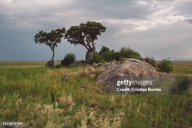 Simiyu 390 Simiyu Region Stock Photos, High-Res Pictures, and Images - Getty ...