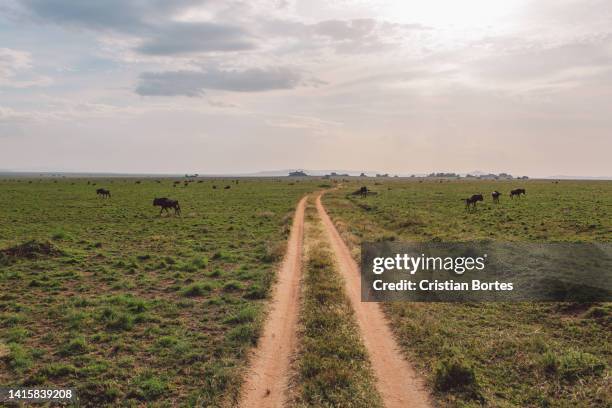 Simiyu 390 Simiyu Region Stock Photos, High-Res Pictures, and Images - Getty ...